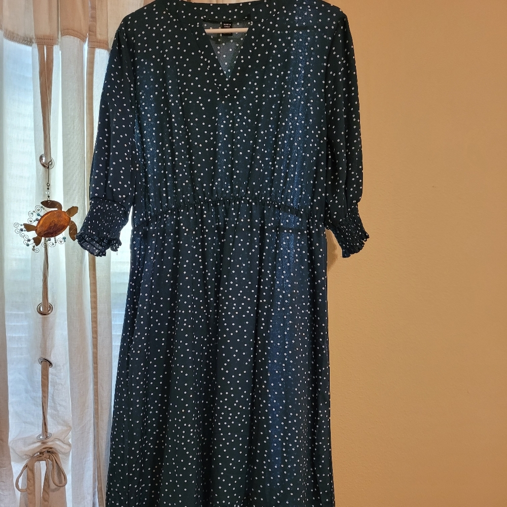 Shein Curve